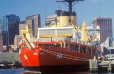 寧波海運(yùn)教大家英國門到門的省錢妙招