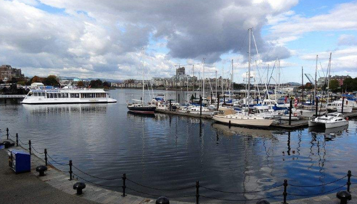 進口報關(guān)代理