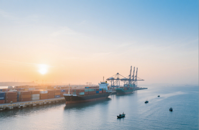 服裝進口有高招，國際海運貨代來助力